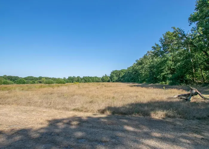 Berghuisje Hébergement de vacances *